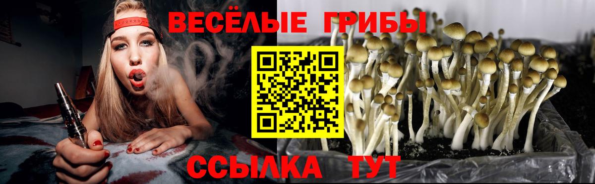 Верхний Уфалей  Псилоцибиновые грибы MAGIC MUSHROOMS  Вход с VPN 